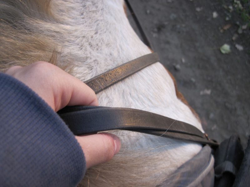 You Hold The Reins You Hold The Reins