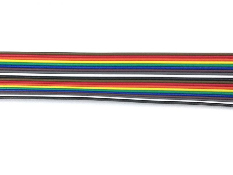 Did you know we’re hard-wired? Did you know we’re hard-wired?
