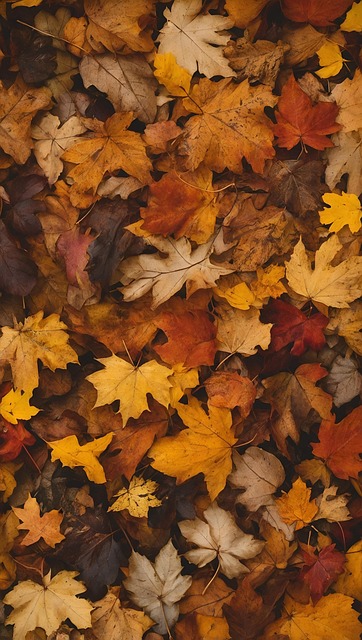 Autumn